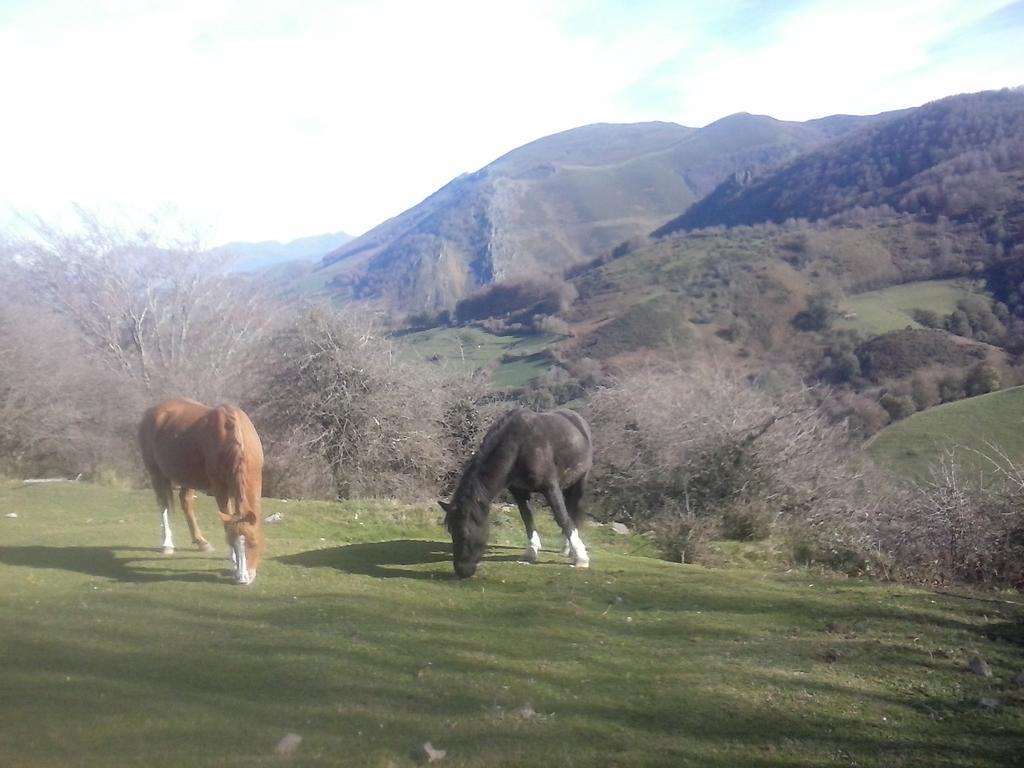 Hostal Venta San Blas Almándoz Buitenkant foto